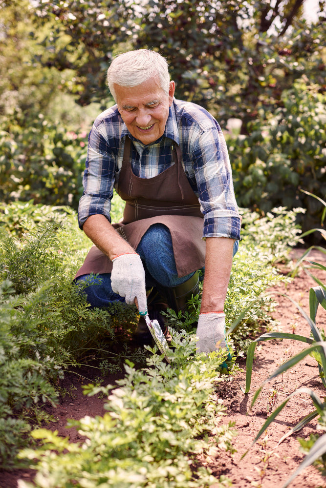 starší muž pracující na zahradě