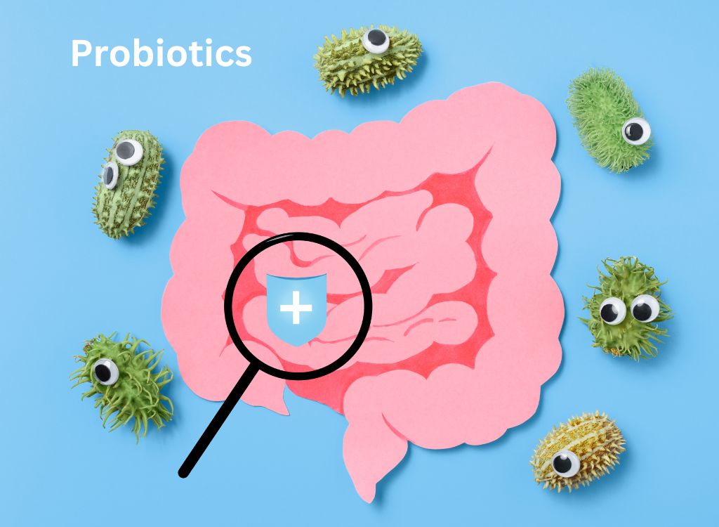 the mechanism of probiotics gummies
