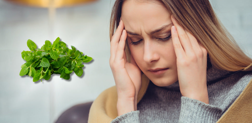 spearmint may benefit for headaches