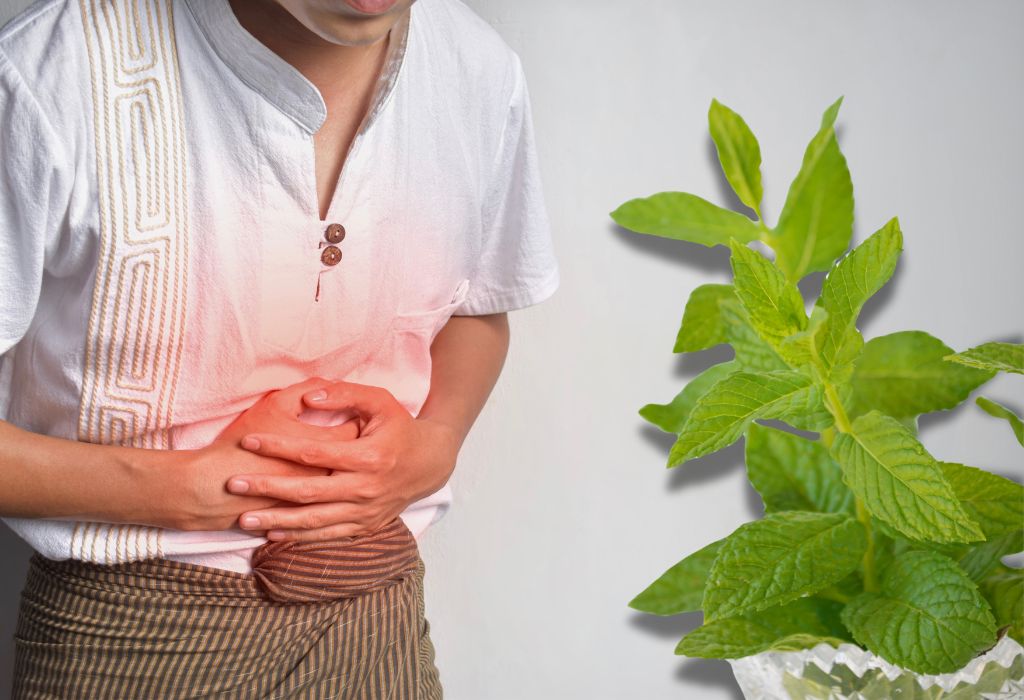 spearmint may benefit for stomach