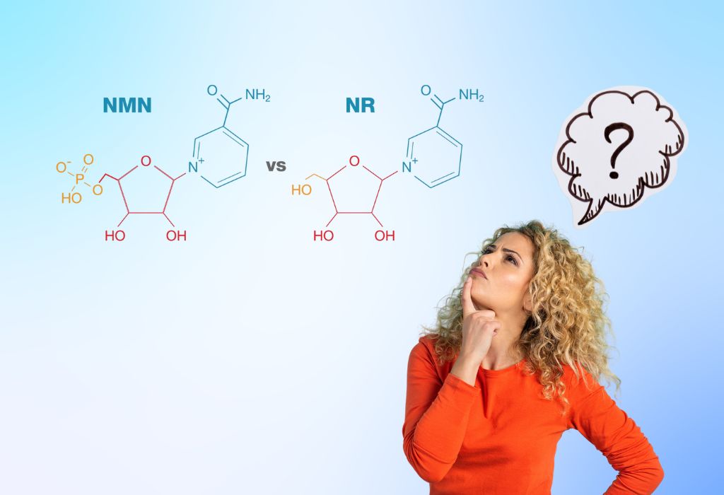 Both NR (Nicotinamide Riboside) and NMN (Nicotinamide Mononucleotide) are alternately featured in supplements designed to boost NAD+ levels.