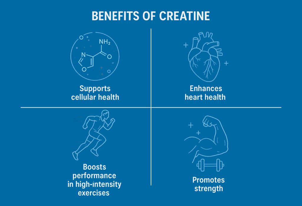 Benefits of Creatine