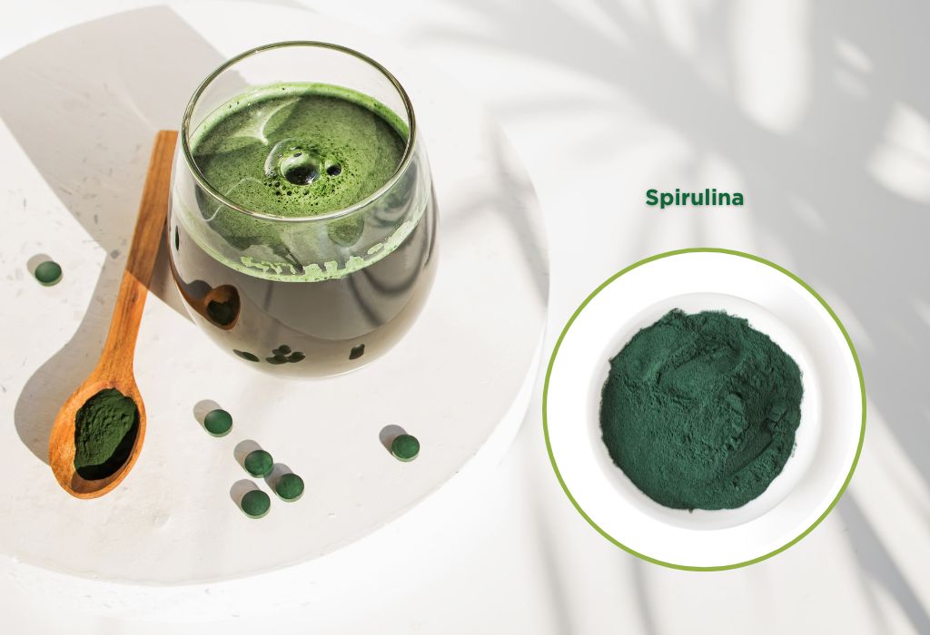 Spirulina is a tiny blue-green alga known as cyanobacteria that can grow in saltwater and freshwater environments.