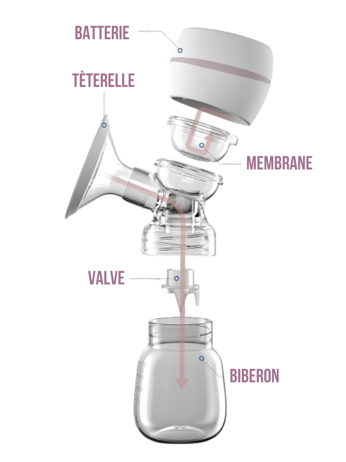 Tire-lait-électrique-portable