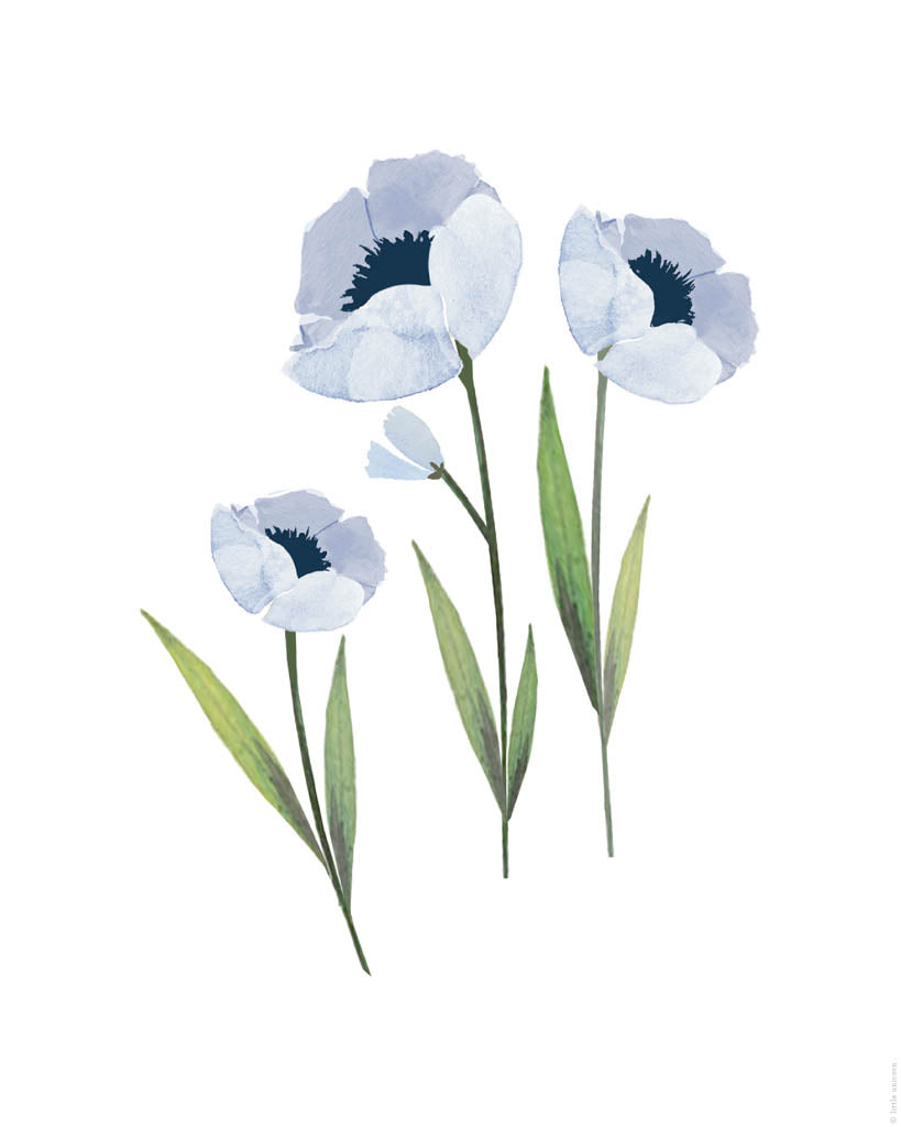 Printable Download - Blue Windflower 3