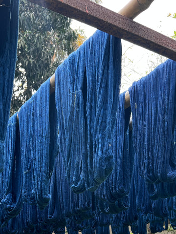 skeins of indigo dyed cotton drying on bamboo racks