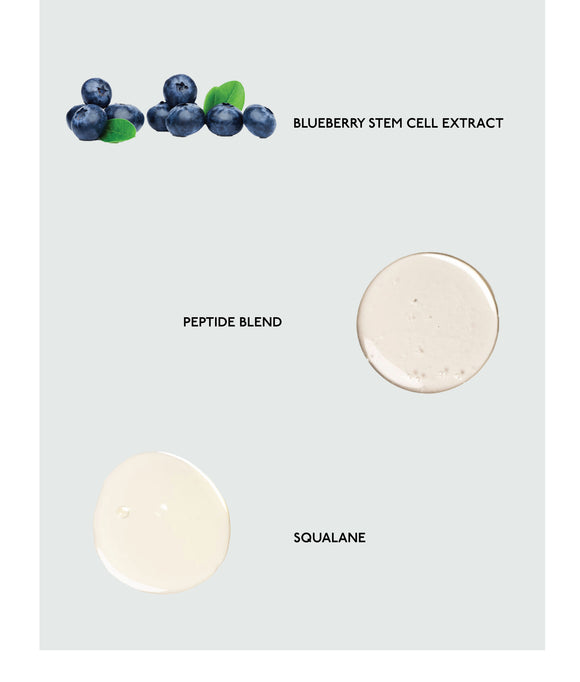 Blueberry stem cell extract, peptide blend, squalane. 