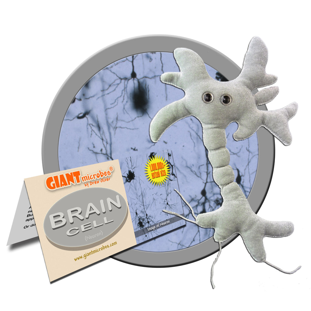 neuron stuffed animal