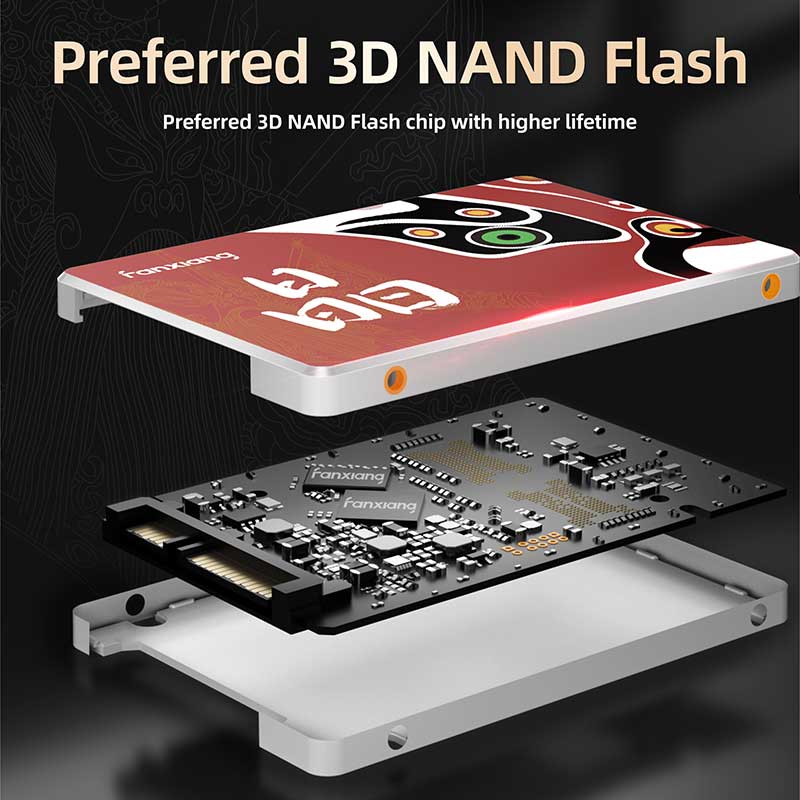 FanXiang S301 mSATA SSD For PC/Laptop