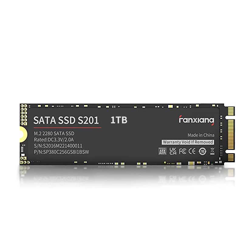 fanxiang S101 1TB SSD SATA III 6Gb/s 2.5 Internal Solid State Drive, Read  Speed up to 550MB/sec, Compatible with Laptop and PC Desktops(Black)