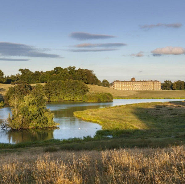 Petworth House and park