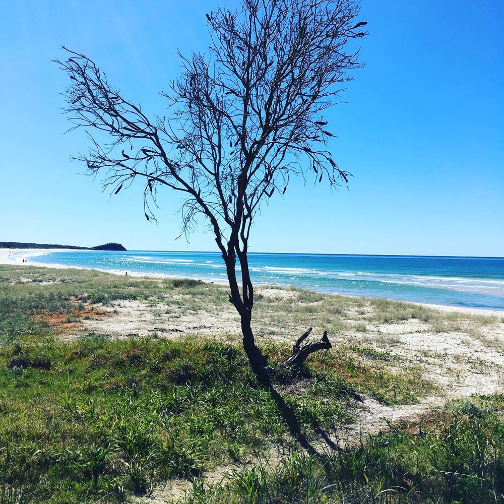 The family playground: the beautiful northern NSW coastline not far from CarolineÕs rural home