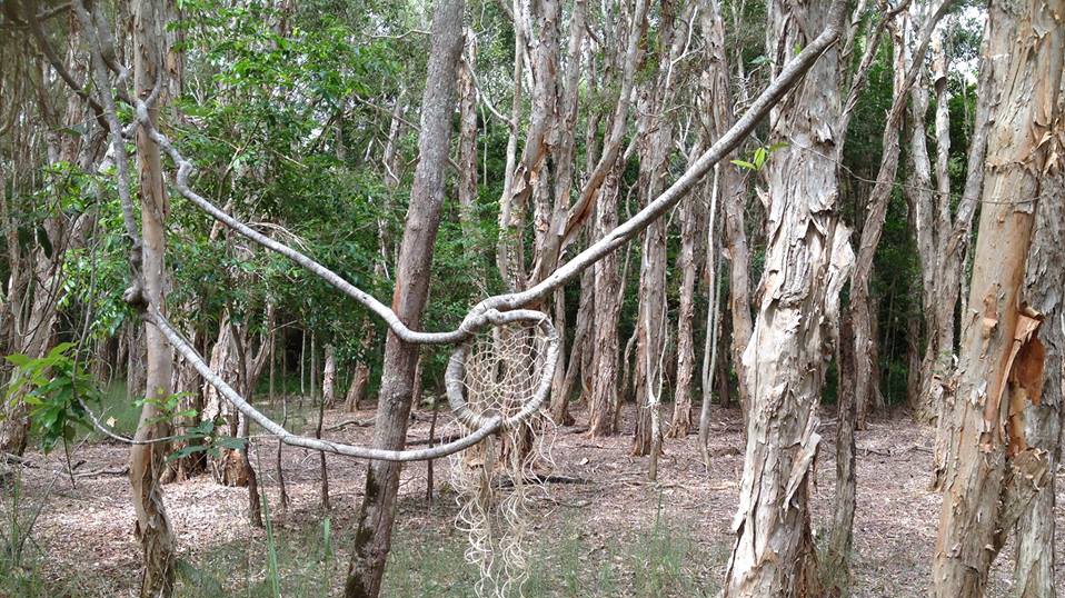 Chez's work in nature: a natural fiber dream catcher woven into the tangled vines of a paperbark forest