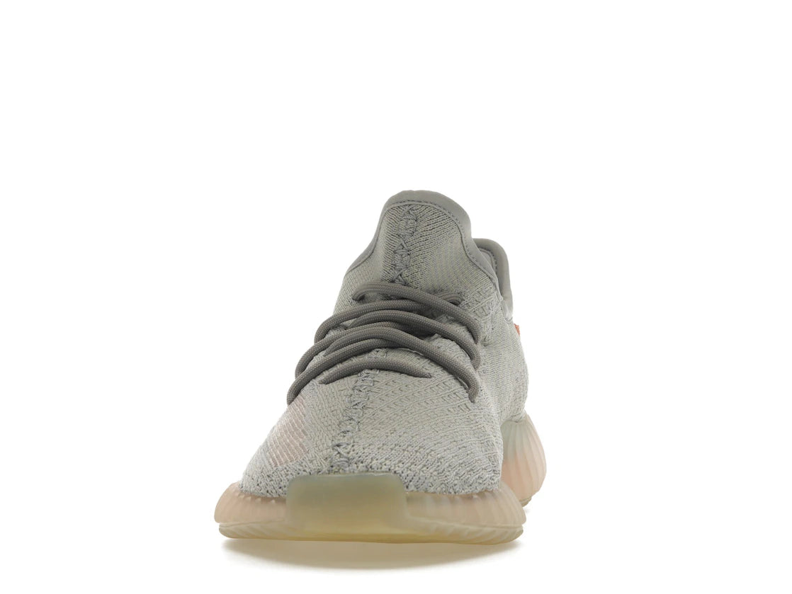 Adidas Yeezy Boost 350 V2 True Form