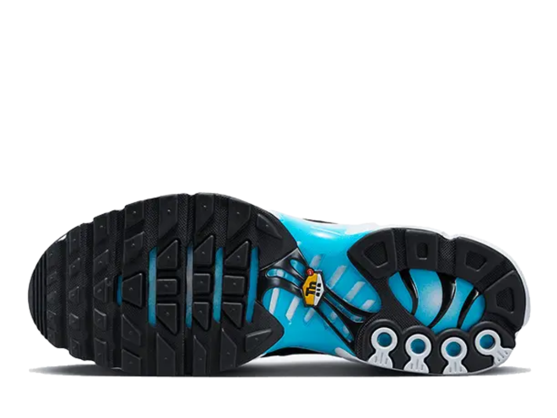Nike Nike Air Max Plus Baltic Blue