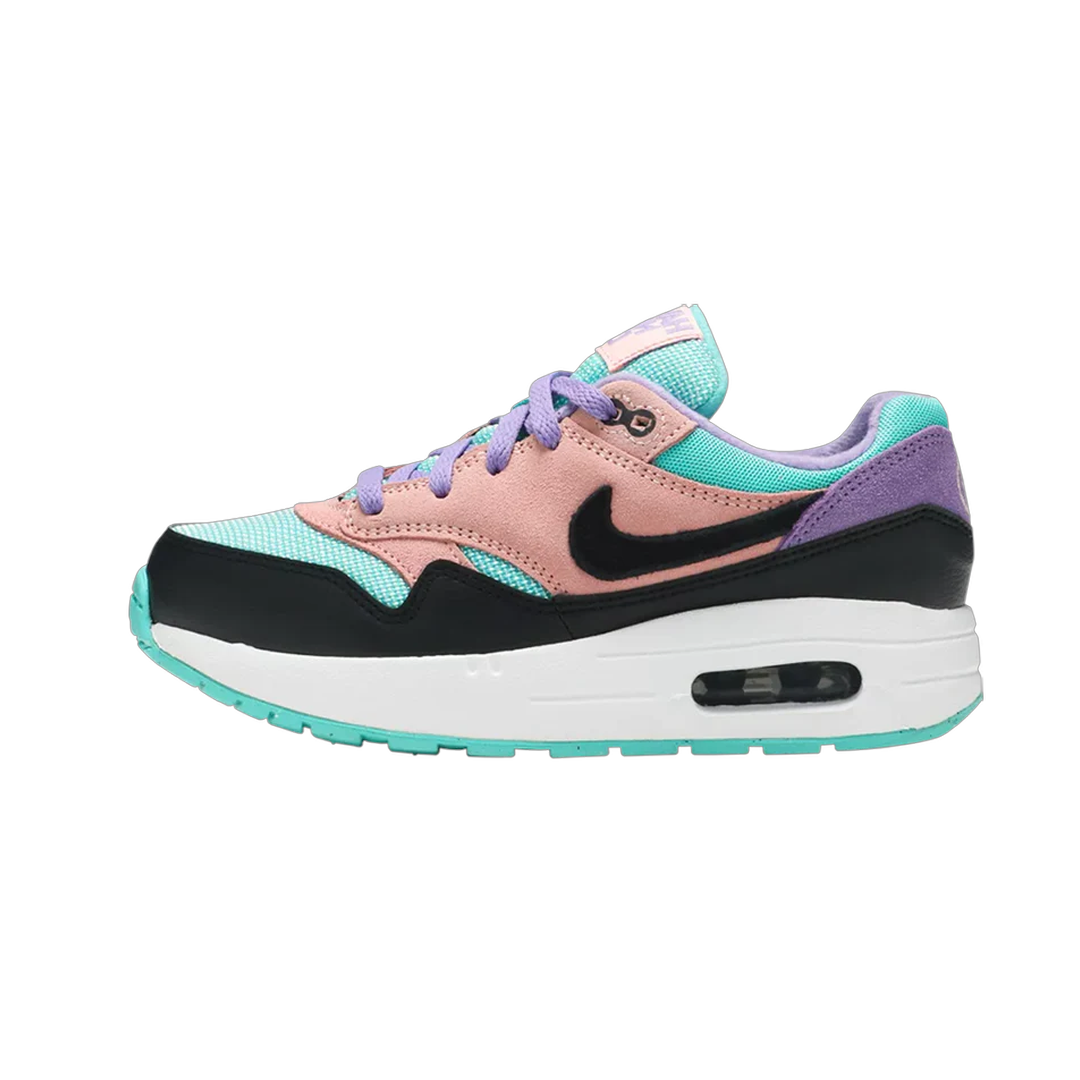 Nike Air Max 1 Have a Nike Day