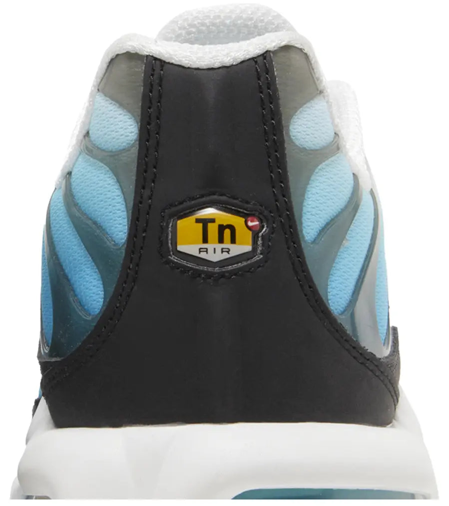 Nike Nike Air Max Plus Baltic Blue