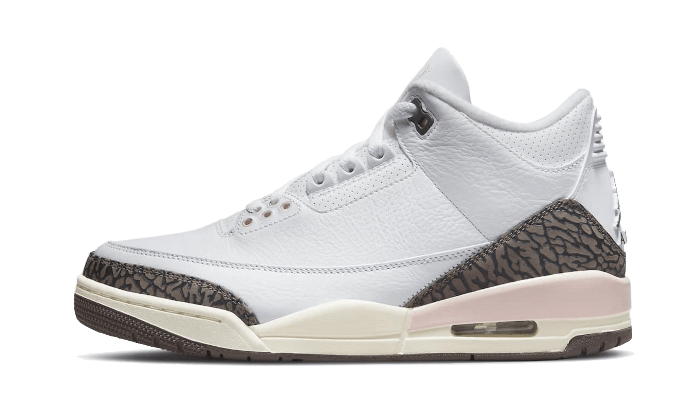 Air Jordan 3 Dark Mocha (Neapolitan)