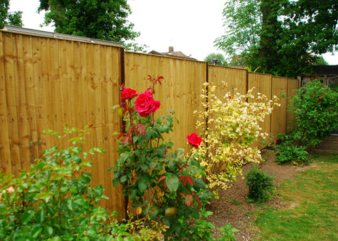 Homeowners garden showing DuraPost Fence posts