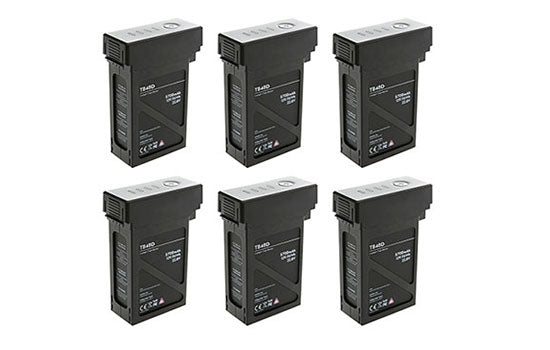 tb48d batteries