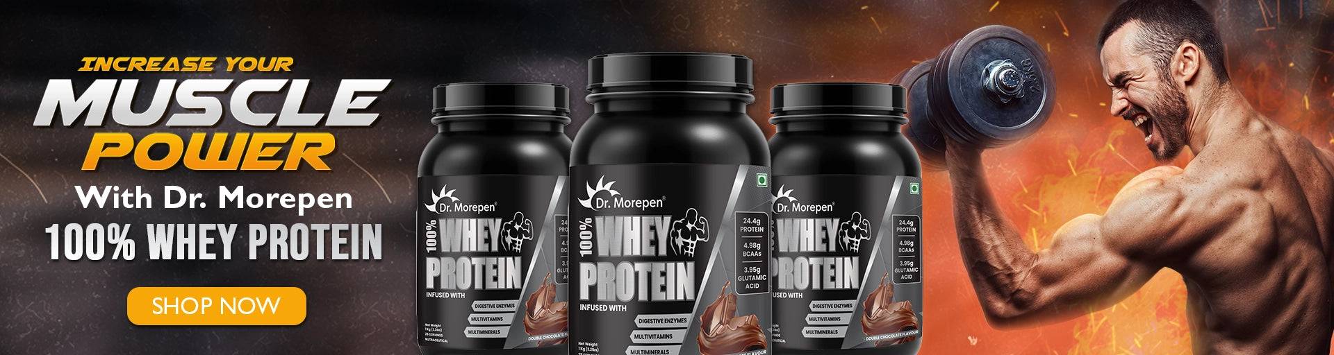 Buy Best Whey Protein - 100% Whey Suppliment Product Online By Dr Morepen