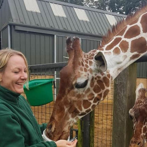 Traitement contre la rouille des rampes de zoo