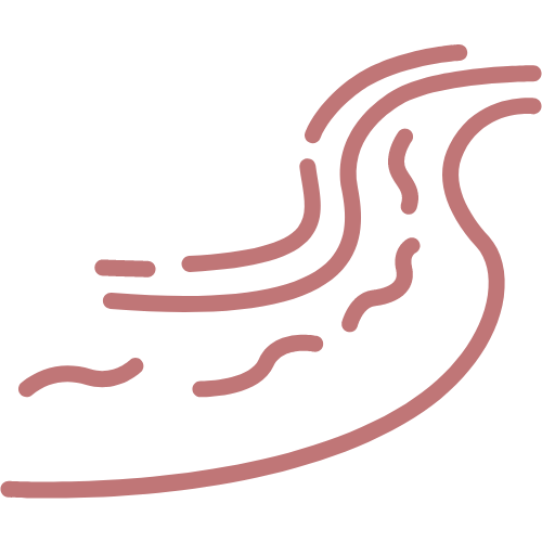 Abstract squiggly lines forming a wavy pattern, rendered in a reddish-brown color.