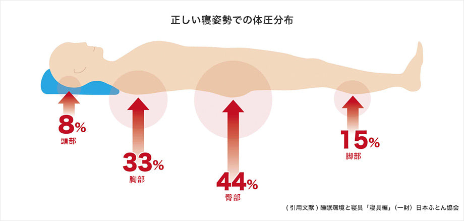 正しい寝姿勢での体圧分布