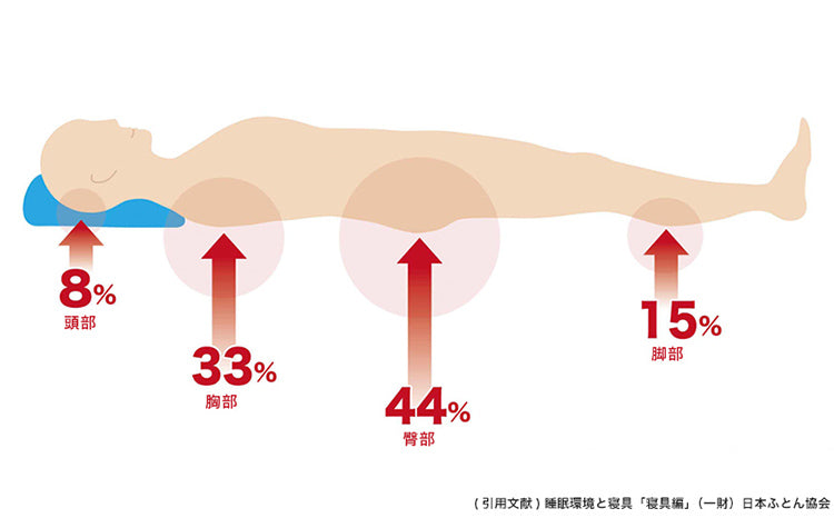 正しい姿勢の体重比率