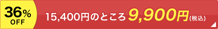 15,400円のところ9,900円(税込)