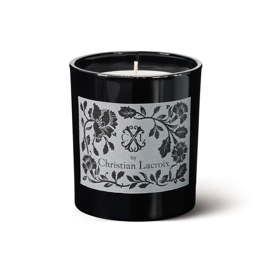 BOOKISH CANDLE Dark Academia Decor, Bougie Aesthetic Style Candle Unique  Sustainable Birthday Gift Book Inspired Candle for Man 