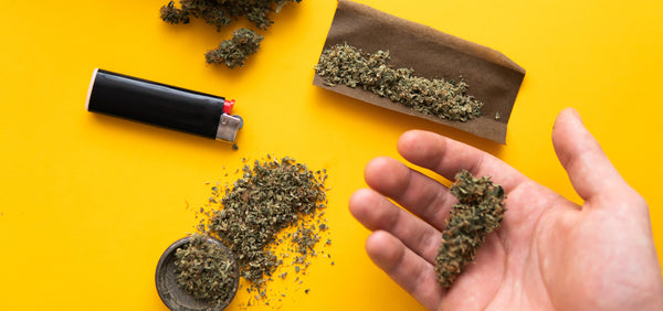 How To Roll a Blunt - A Step By Step Guide for Blunt Rolling