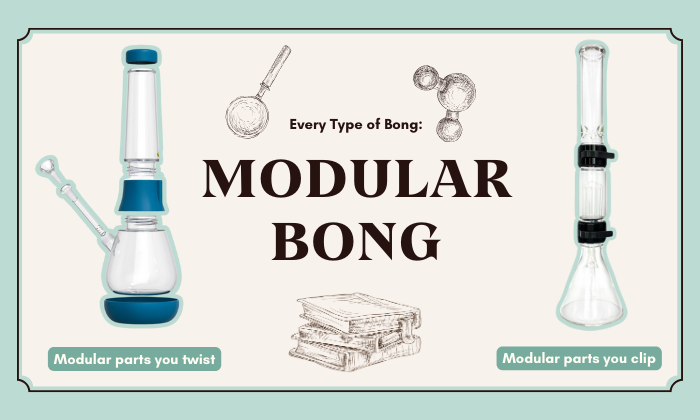 what is a modular bong