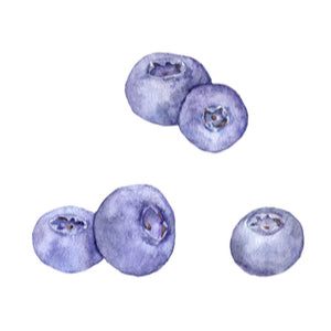 boosting blueberries