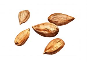 almonds