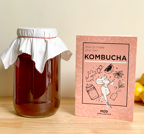 kombucha kit