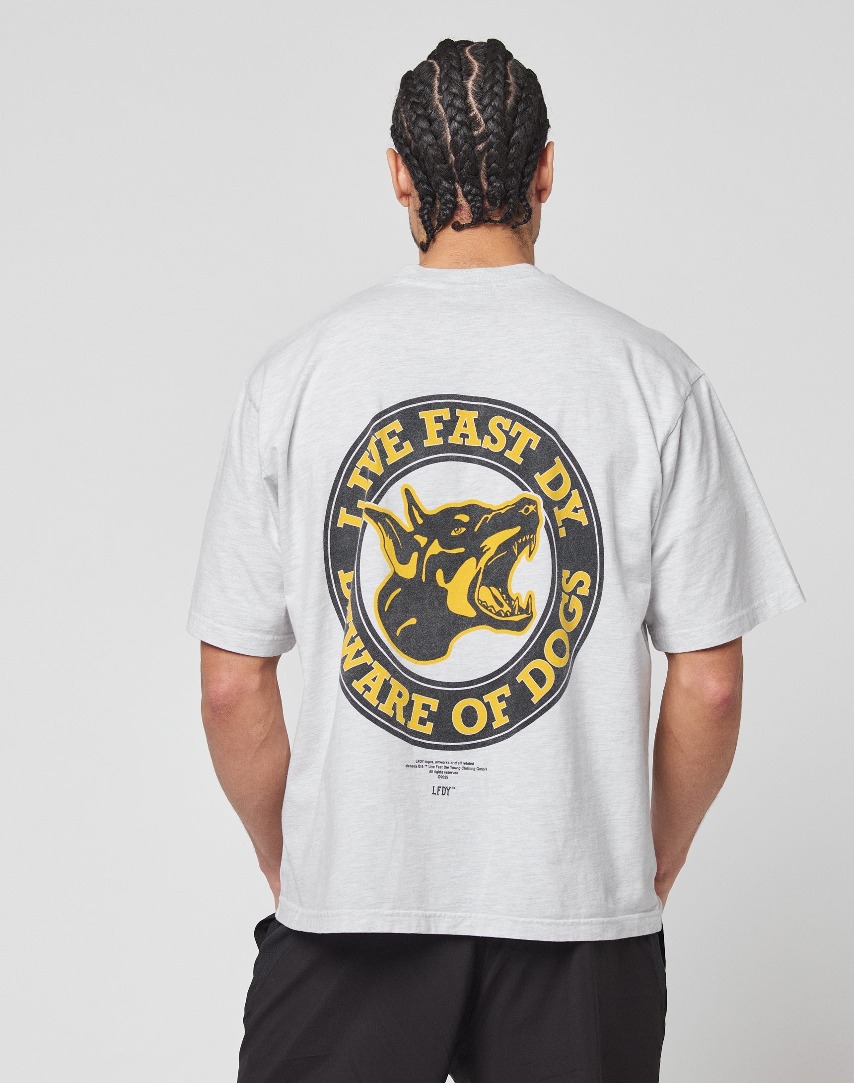 21 LFDY 035