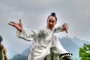 Wudang Taoist Kung Fu