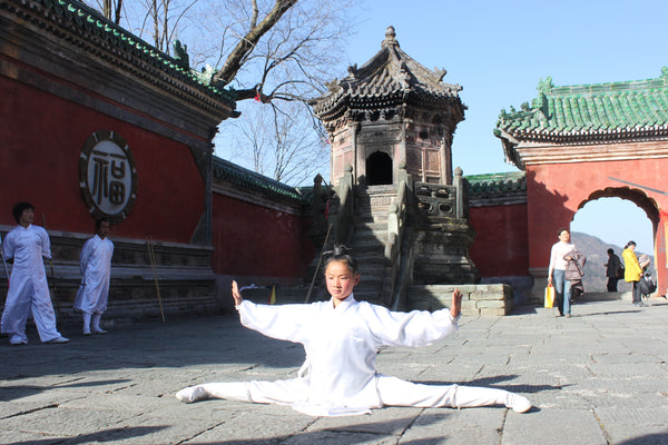 Wudang Internal Martial Arts Split