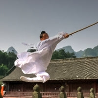 Wudang Spear