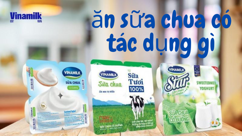 Ăn sữa chua có tác dụng gì