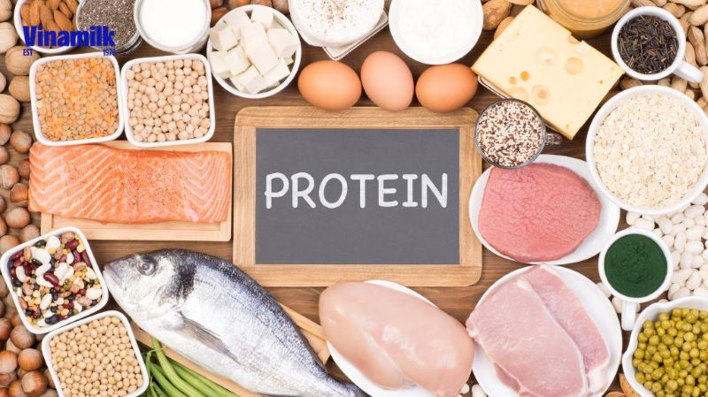 Sữa chua chứa một lượng protein dồi dào