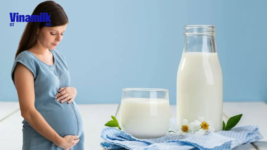 Mẹ bầu nên lựa chọn sản phẩm sữa từ thương hiệu uy tín
