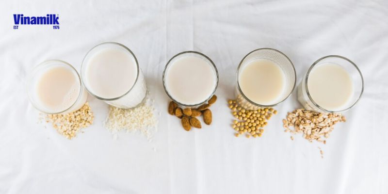 Các loại sữa hạt tốt nhất nên uống trong ngày
