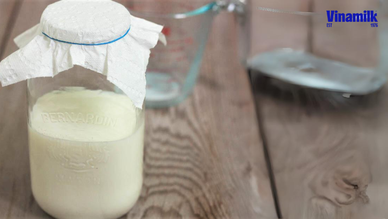 Lên men sữa từ nấm kefir trong 1.5 - 2 ngày, đến khi thấy sữa đặc lại và có vị chua
