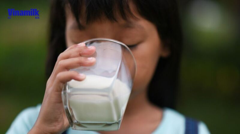Sữa đậu đỏ cung cấp các dưỡng chất cần thiết cho não bộ