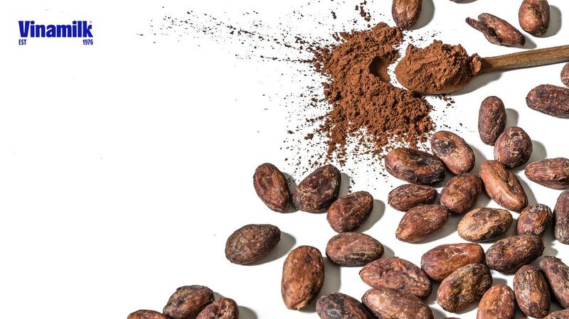 Bột cacao được xay nhuyễn từ hạt cacao