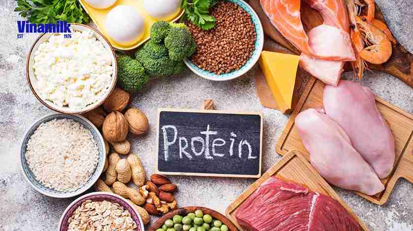 Protein là dưỡng chất cần thiết đối với trẻ nhỏ