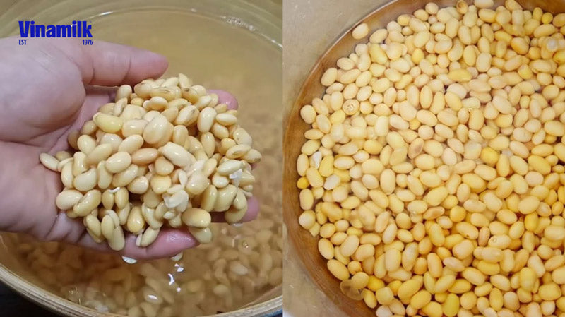 Cách sơ chế hạt đậu nành