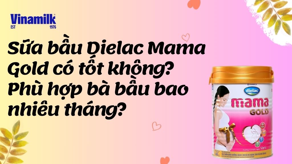 Sữa bầu Dielac Mama Gold có tốt không?